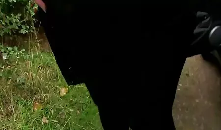 Tip je srušio djevičansku prekrasnu mature hq porno plavušu