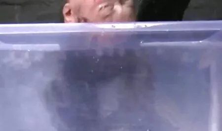 Maskirana pilić sjebana u porn mature sexi dupe i u usta