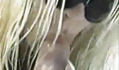 Crni par se jebe pormo mature na ugodnoj sofi
