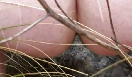 Beba free porno video mature sisa ujakov penis za novac